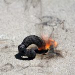 4th of July Science - Homemade Black Snakes