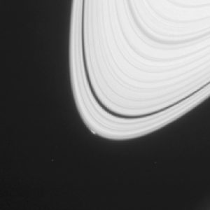 This disturbance on the edge of Saturn's A Ring could contain a newly formed moon. Credit: NASA/JPL