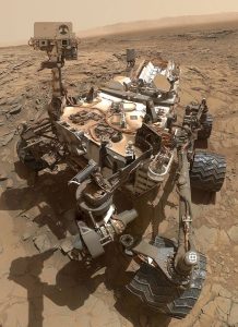 Curiosity Selfie