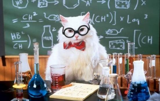 Chemistry Cat