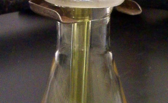One interesting chlorine element fact is that the liquid is yellow. Credit: Workingclass91/Creative Commons