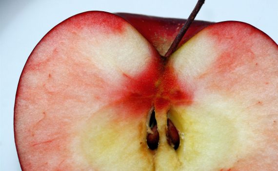 Red Apple With Seeds (liz west)