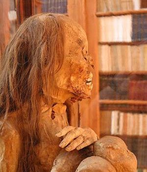 Pre-Columbian Peruvian mummy. (Emmanuelm, Creative Commons)