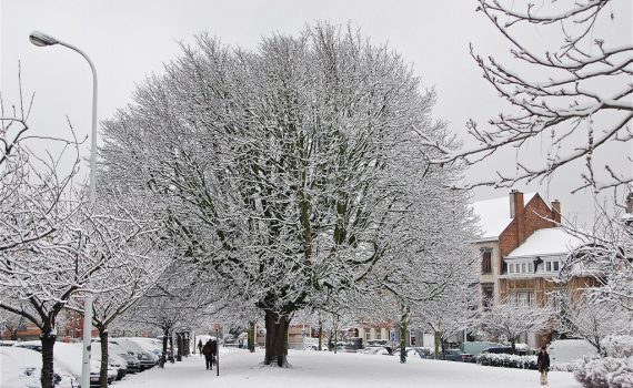 Snow appears white because the faceted snowflakes reflect light. (Stephane Mignon)