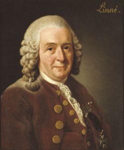 Carl von Linné, also known as Carl Linnaeus