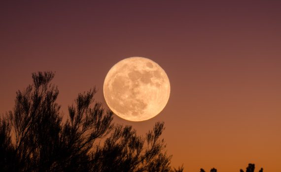 Full Moon (Ganapathy Kumar)