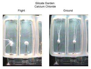 Calcium chloride chemical garden in space on the ISS versus on the ground. (NASA)
