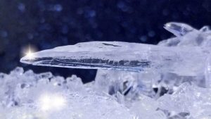 These calcium chloride crystals grew spontaneously in a container of DampRid.