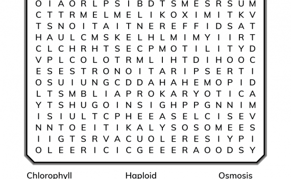 Cell Biology Word Search