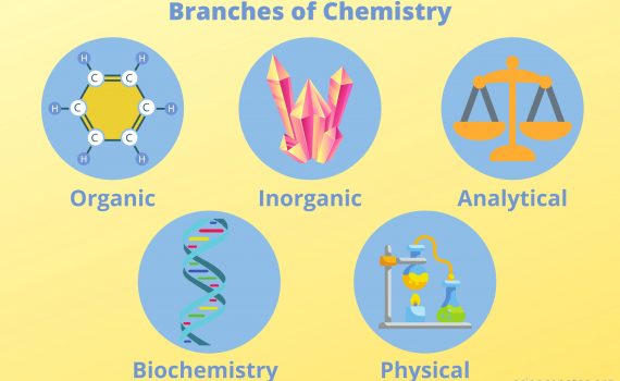 The 5 main branches of chemistry