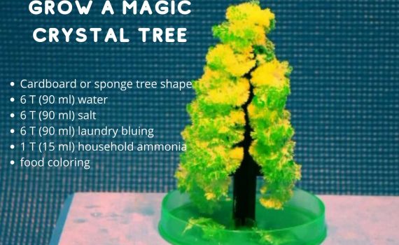 It's easy to grow a magic crystal Christmas tree using simple chemicals.