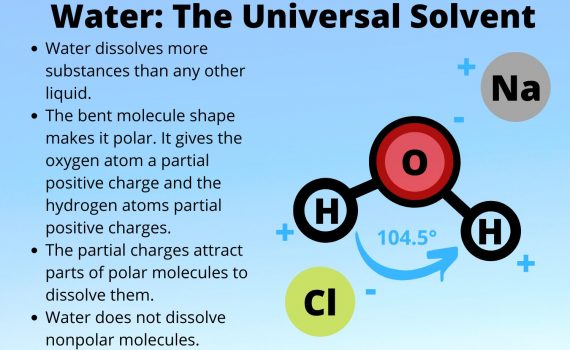 Water is the universal solvent because it is a polar molecule.