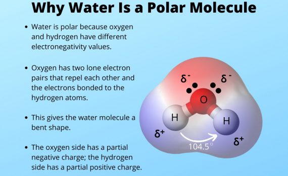 Why Water Is a Polar Molecule