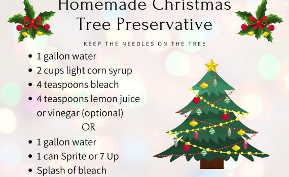 How to Make Homemade Christmas Tree Preservative