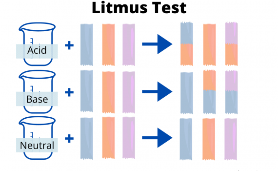 Litmus Test
