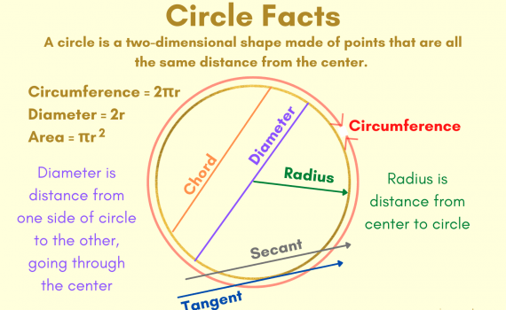 Circle Facts