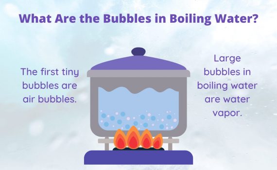 What Are the Bubbles in Boiling Water