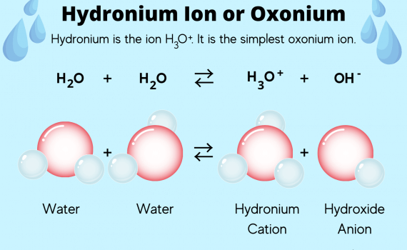 Hydronium Ion or Oxonium