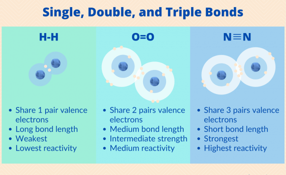Single, Double, and Triple Bonds