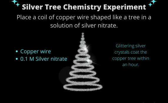 Silver Tree Chemistry Experiment