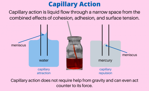 Capillary Action Definition