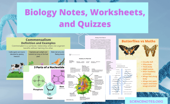 Biology Notes, Worksheets, and Quizzes