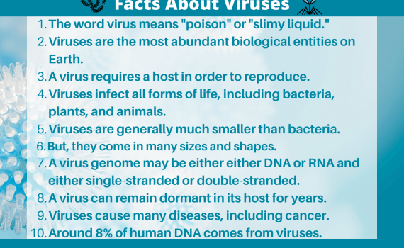 Facts About Viruses