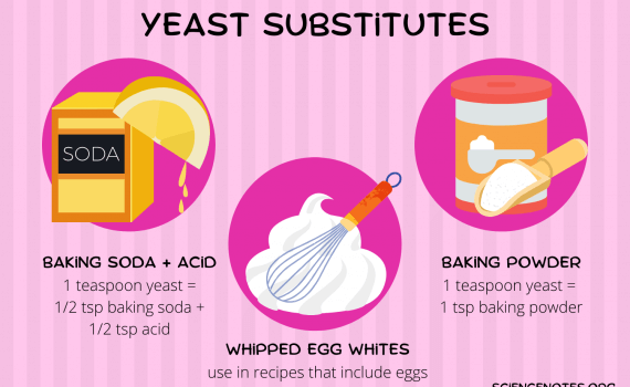 Yeast Substitutes