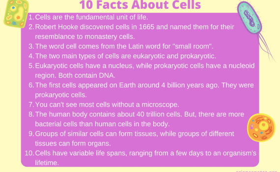 10 Facts About Cells