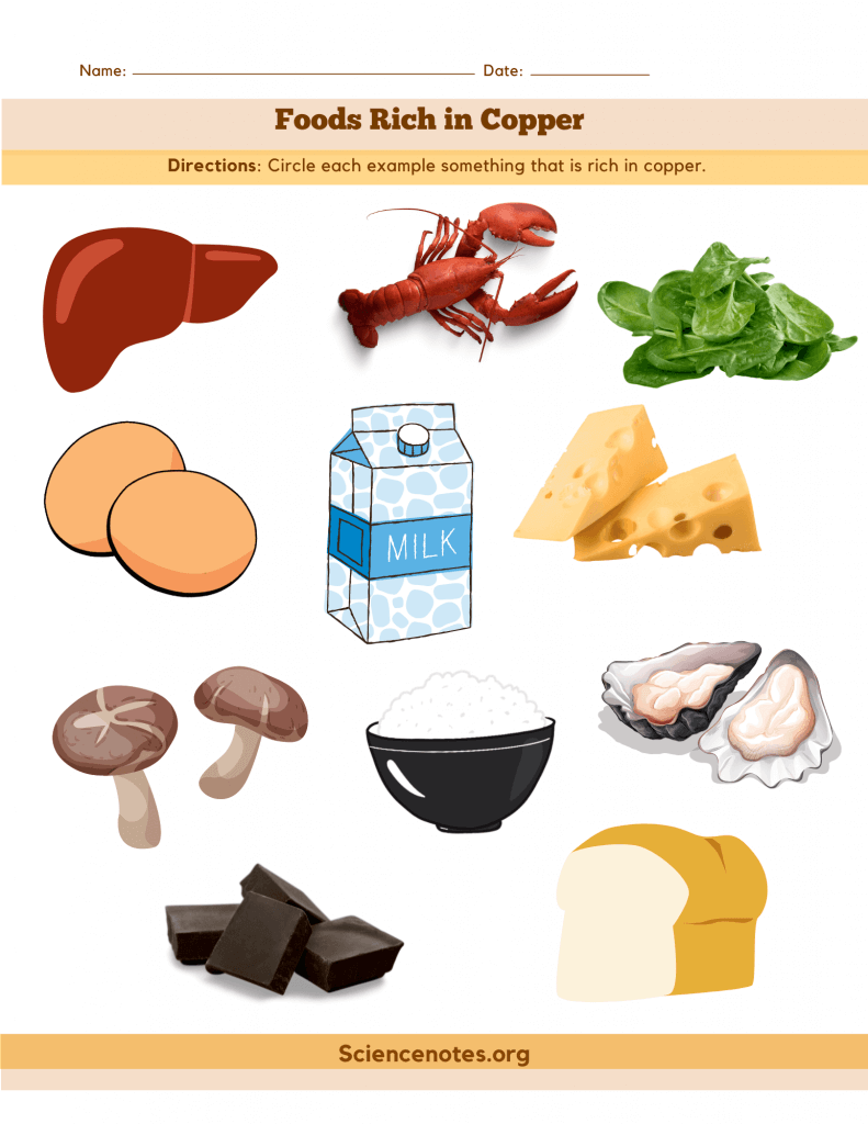 Foods Rich in Copper - Worksheet
