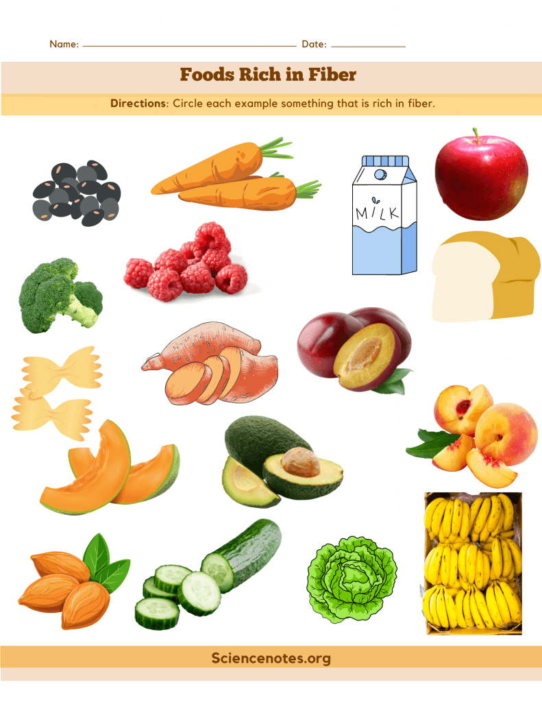 Foods Rich in Fiber - Worksheet