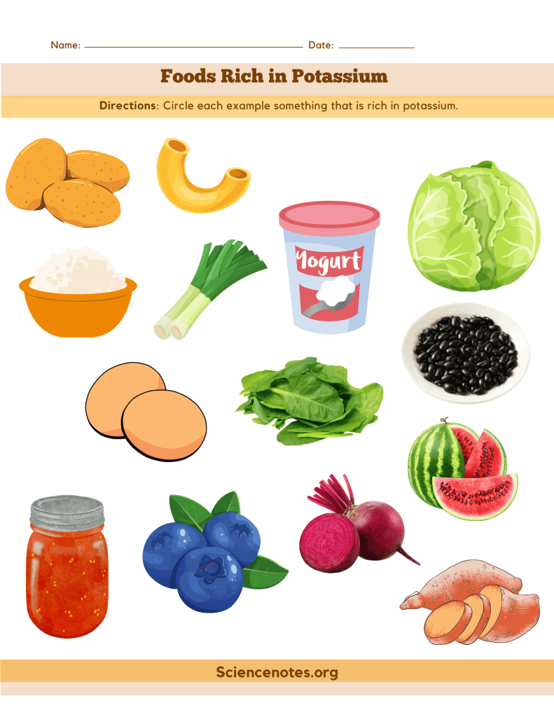 Foods Rich in Potassium - Worksheet