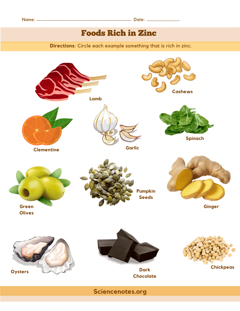 Foods Rich in Zinc - Worksheet