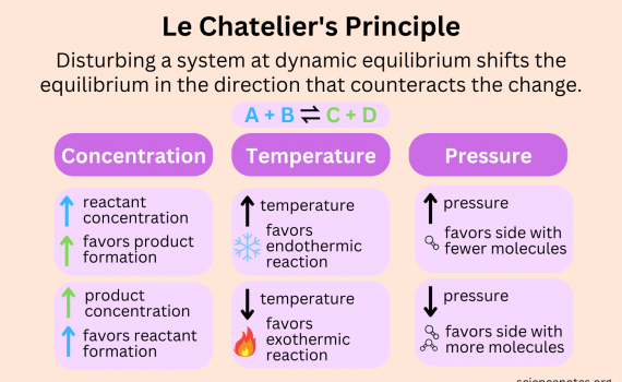 Le Chatelier's Principle