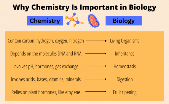 Why Chemistry Is Important in Biology