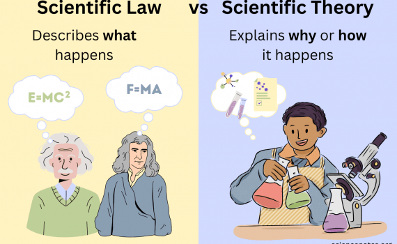 Scientific Law vs Scientific Theory