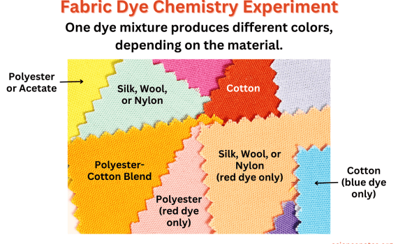 Fabric Dye Chemistry Experiment