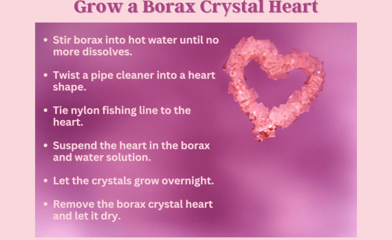 Grow a Borax Crystal Heart