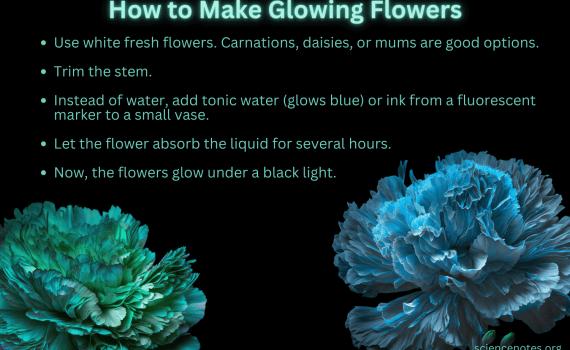 How to Make Glowing Flowers