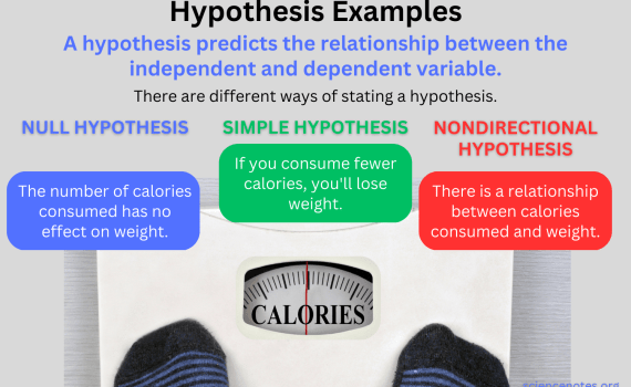 Hypothesis Examples