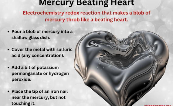 Mercury Beating Heart