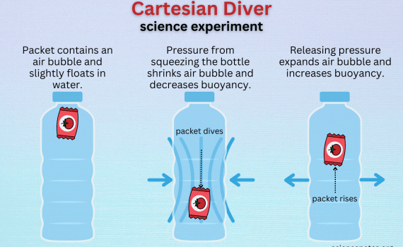 Cartesian Diver science experiment