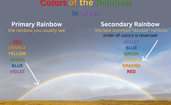 Colors of the Rainbow in Order