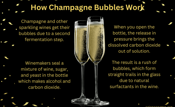 How Champagne Bubble Work