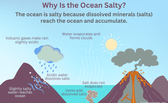 Why Is the Ocean Salty