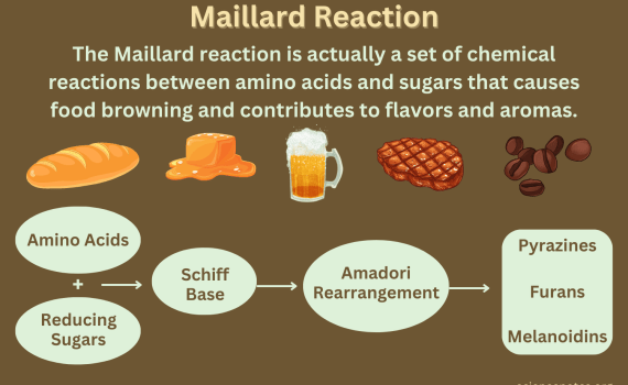 Maillard Reaction Definition and Mechanism