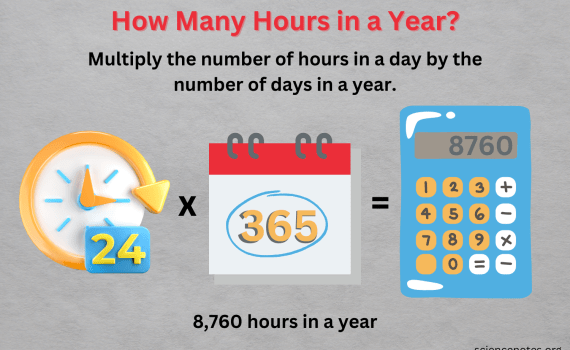 Hours in a Year