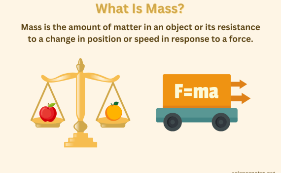 What Is Mass - Definition