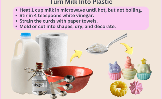 Turn Milk Into Plastic