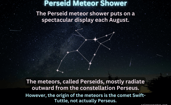 Perseid Meteor Shower